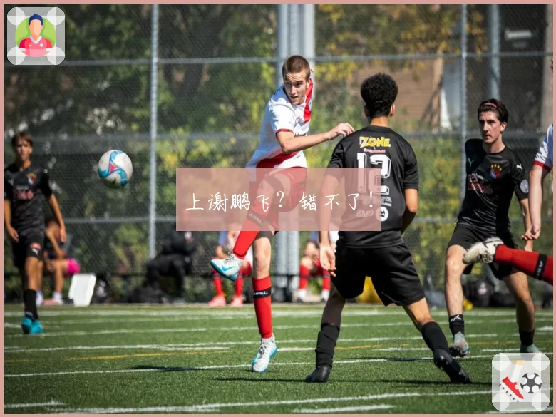 上谢鹏飞？错不了！