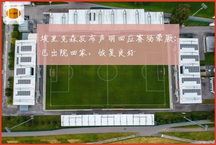 埃里克森发布声明回应赛场晕厥：已出院回家，恢复良好