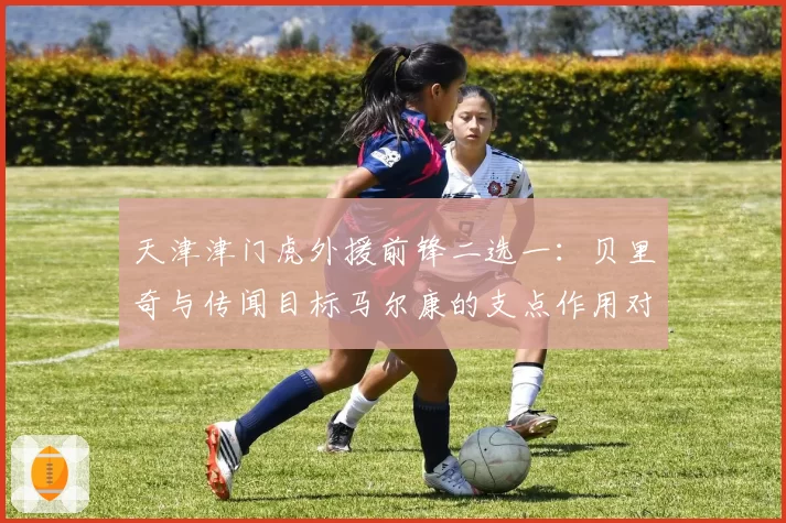 天津津门虎外援前锋二选一:贝里奇与传闻目标马尔康的支点作用对比