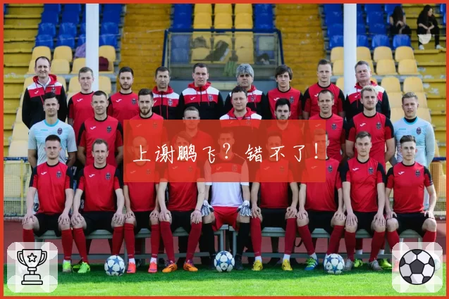 上谢鹏飞?错不了!